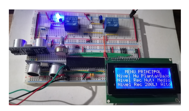 Imagen de la diapositiva