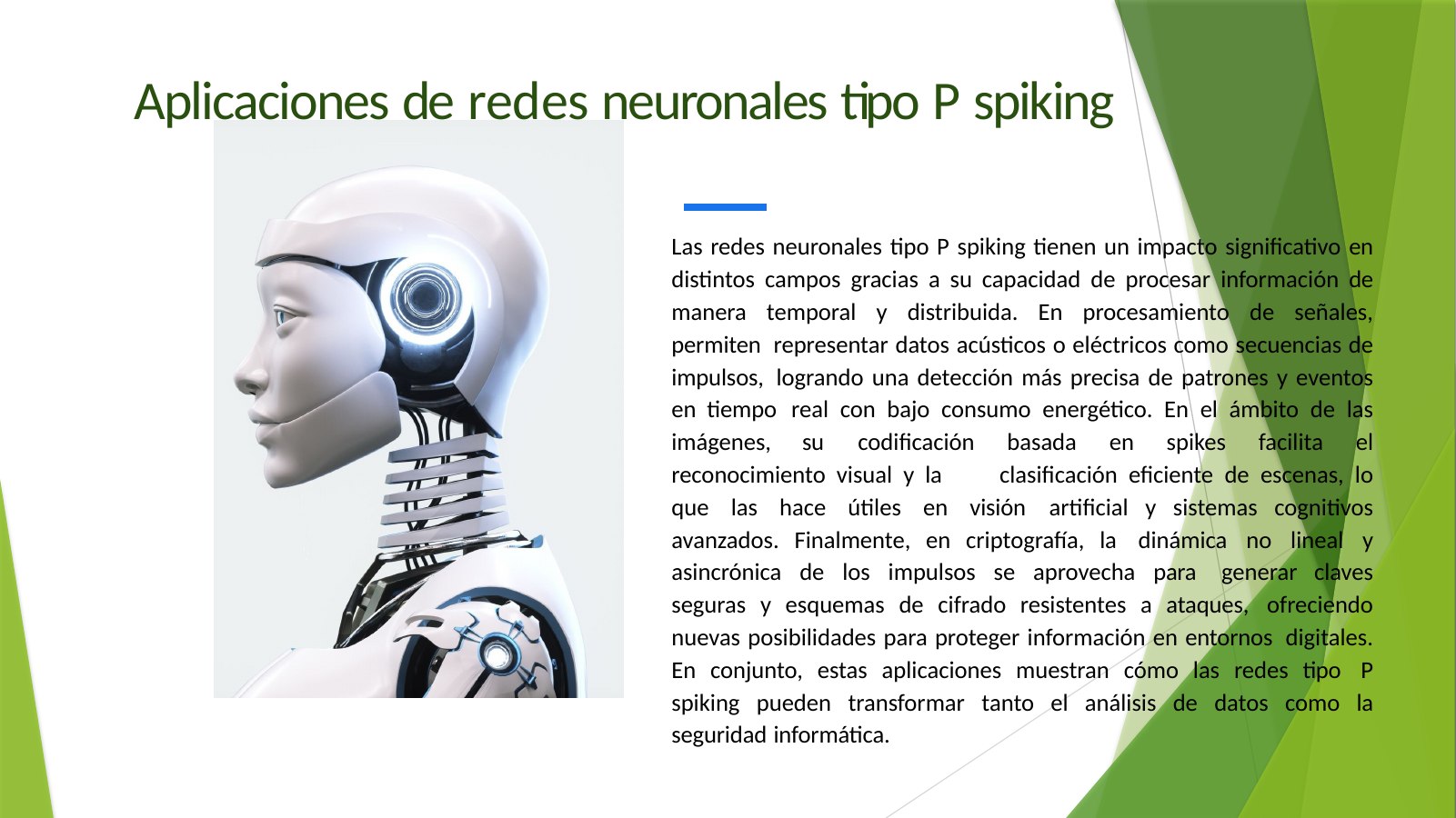 Lámina 3: Aplicaciones de redes neuronales tipo P spiking