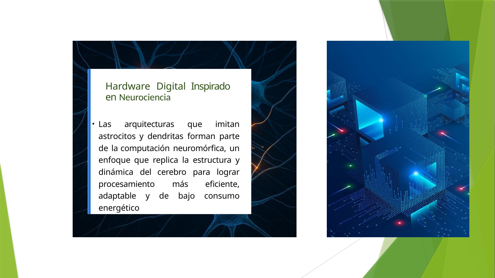 Lámina 4: Hardware Digital Inspirado en Neurociencia